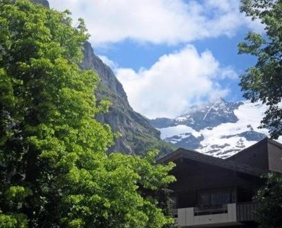 Ferienwohnung Pfaffenstöckli Grindelwald Zimmer foto