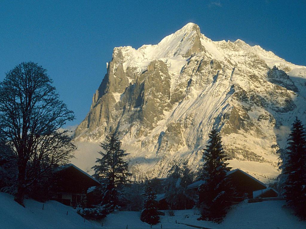 Ferienwohnung Pfaffenstöckli Grindelwald Exterior foto